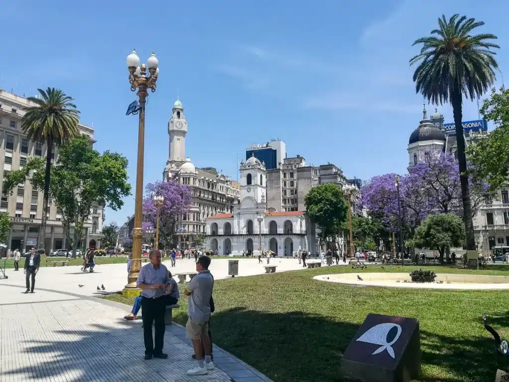 plaza de mayo con el cabildo detras en noviembre con los jacaranda florecidos
