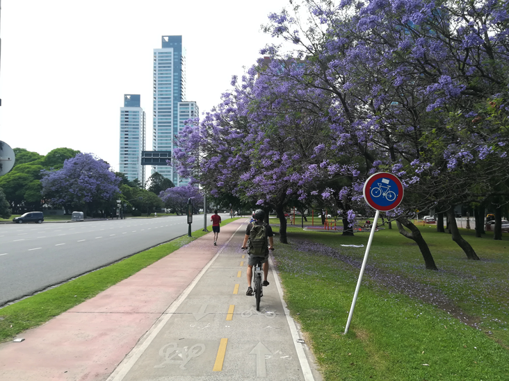 ciclistas en la bicisenda