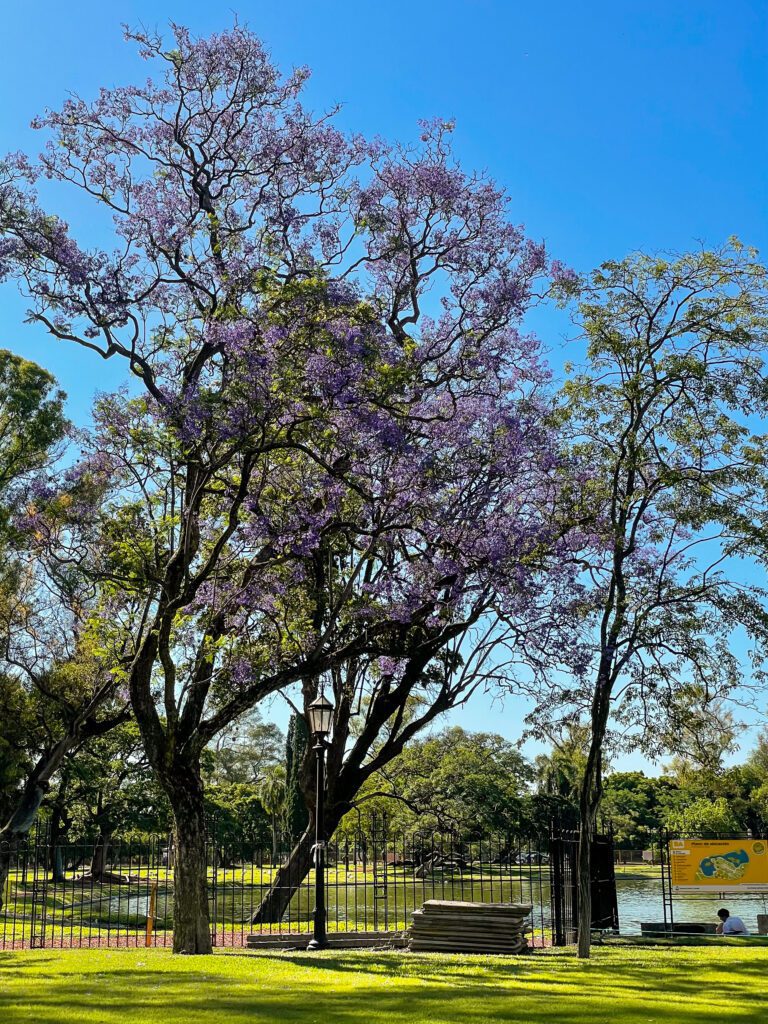 Huge green area in the northside of Buenos Aires City