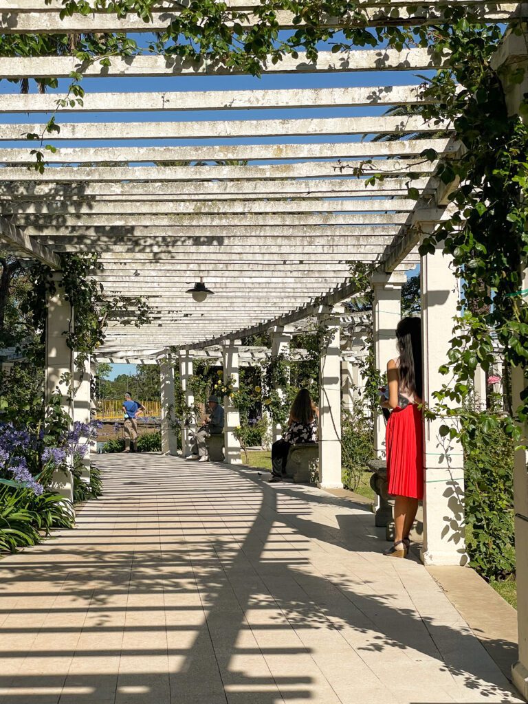 Impressive rose garden in Buenos Aires