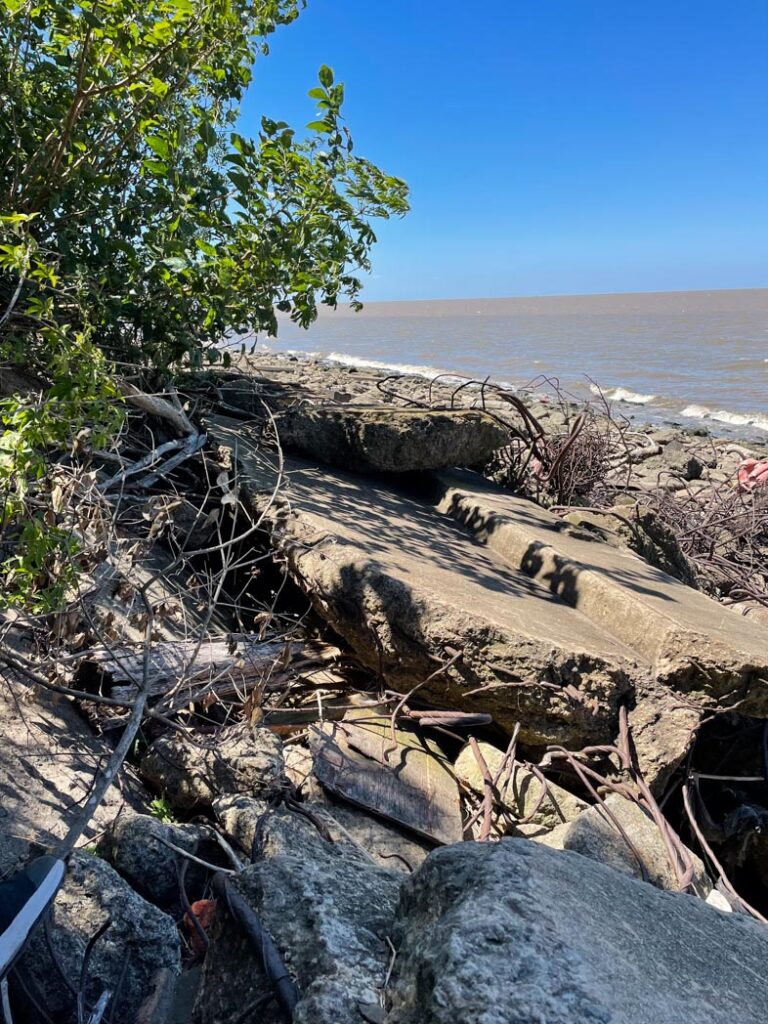 Río de la Plata River Bank