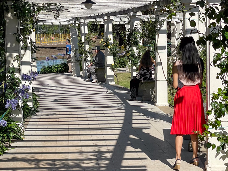 a girl taking pictures at the Rosedal (rose garden)