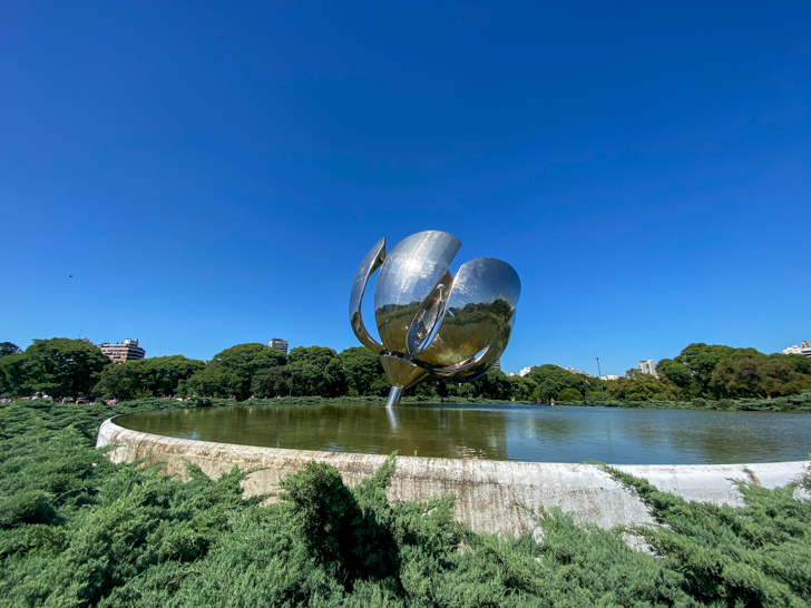 floralis genérica na área da recoleta