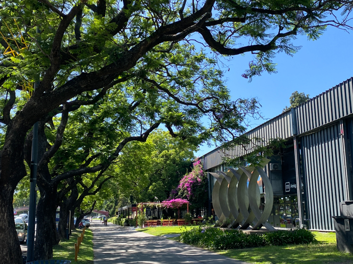 bosques de palermo es una zona verde