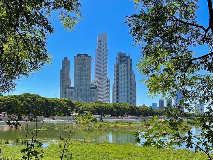 amazing picture of the skyline in puerto madero from reserva ecologica