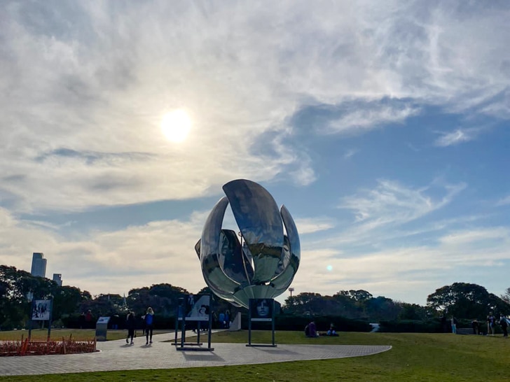 floralis generica en otoño en buenos aires