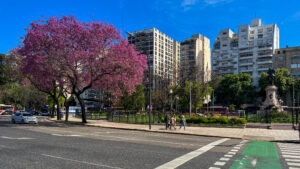 Plaza Italia es un centro de transporte para llegar a la zona de Palermo.