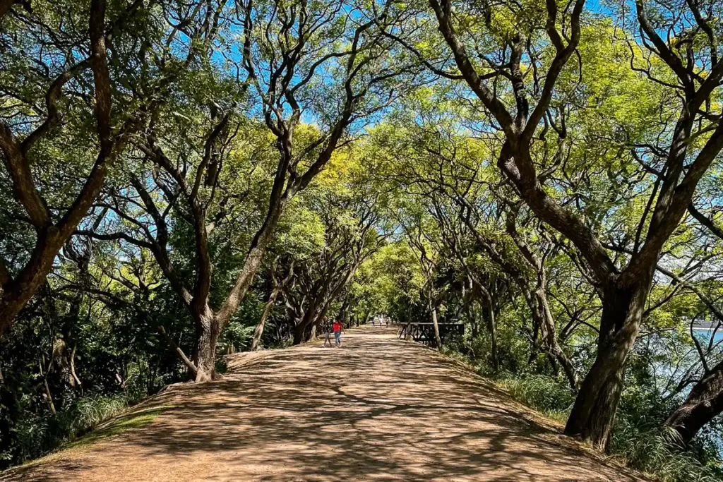 costanera sur ecological reserve in buenos aires