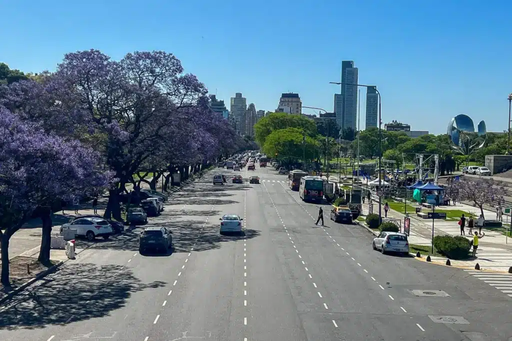 november is the jacaranda season in buenos aires with purple flowers everywhere