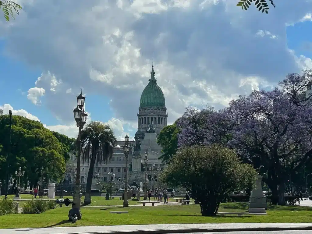jacaranda trees blooming in of the congress building