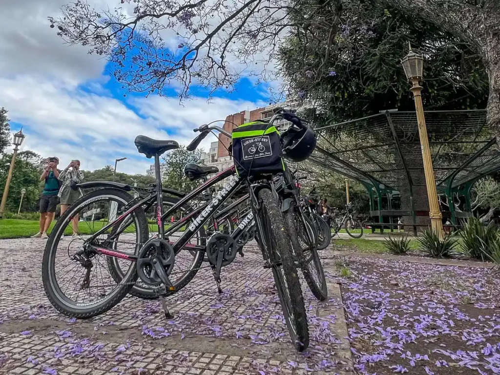 biker street bikes during the jacaranda season in buenos aires