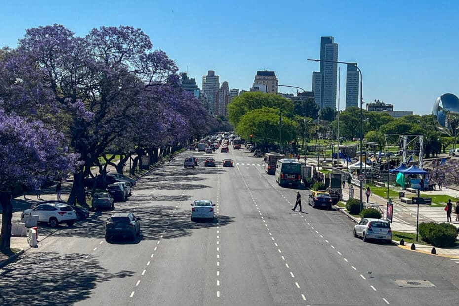 Jacarandas con flores de color púrpura en la avenida libertador buenos aires